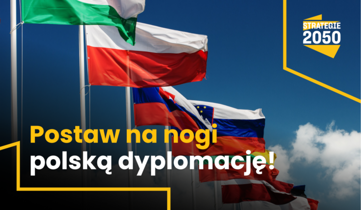 Zdjęcie: Postaw na nogi polską dyplomację!